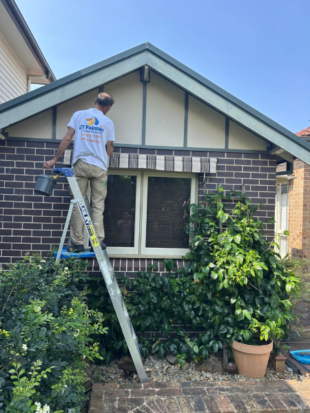 professional painters in tamarama